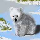 baby-polar-bear