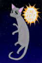 starkitty