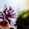 orquidea by Samara