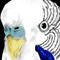 the-eye-of-the-budgie by salldarling