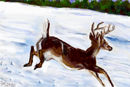 running-in-the-snow