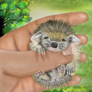 awww-aint-he-cute