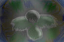 angel1 angel1
