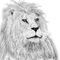 pencil-lion by ant