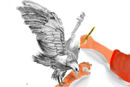 real-drawing-times-