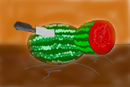 watermelon watermelon