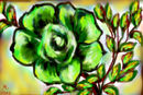 green-and-hope