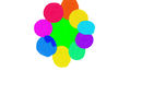 flower flower