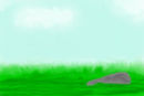 field