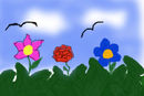 nature-forever
