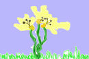 little-yellow-flowers