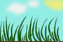 grass
