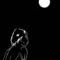 moonlight-40-years-lat by kwikdraw