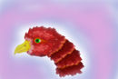 bird-head