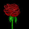 rose by MissSuaifanOv