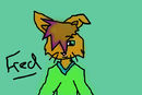 fred-the-rabbit