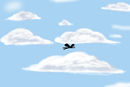fly-wirth-me