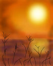 sunset