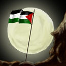 palestinemy-beloved-ho