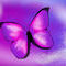 butterfly-life by dusthaven
