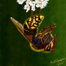 bzzzzzzzzzzzzz