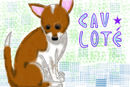 caulote-the-puppy