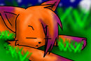 orangefur