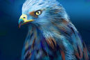 bird-of-prey bird-of-prey