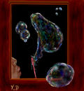 bubbles