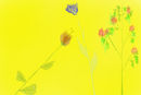 never-drawn-flowers-be