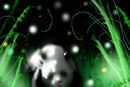 2025-the-last-panda-on