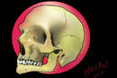 skull