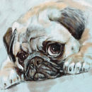 317-pug