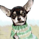 0508-dog
