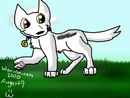 bolt