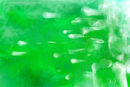 green-and-white
