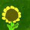 sun-flower by funartist20020