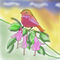 just-a-sparrow by anamaria