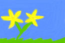 yellow-flowers