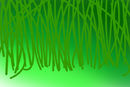 jungle-not-finished